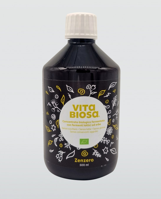 VitaBiosa Ingwer 500ml