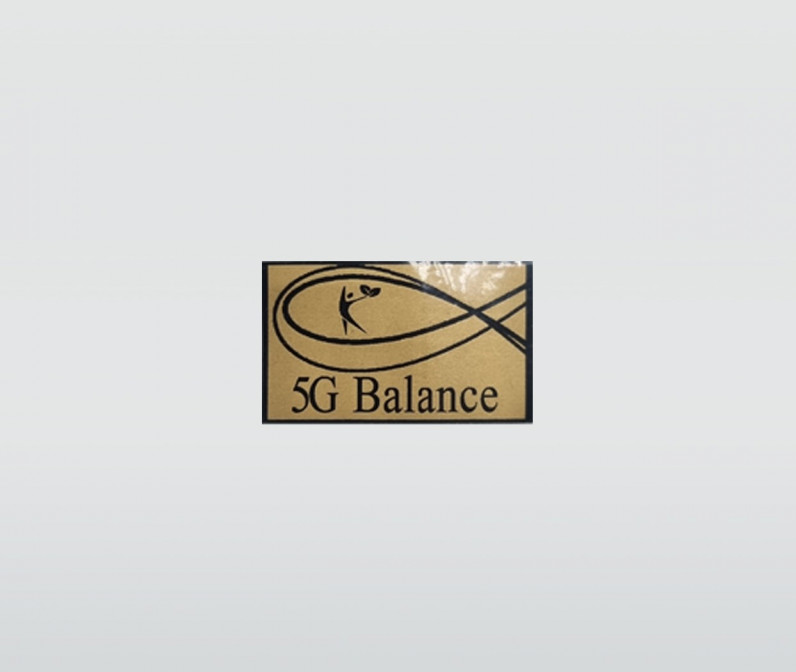 5G-Balance Chip