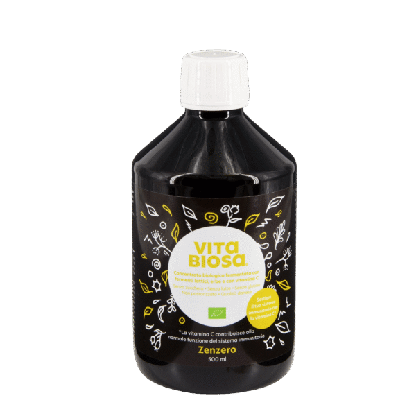 VitaBiosa Ingwer 500ml