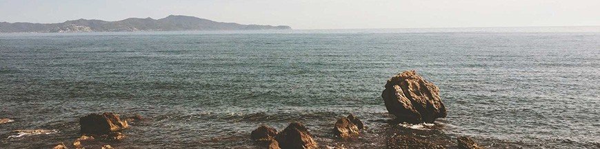 Oro e Argento colloidale