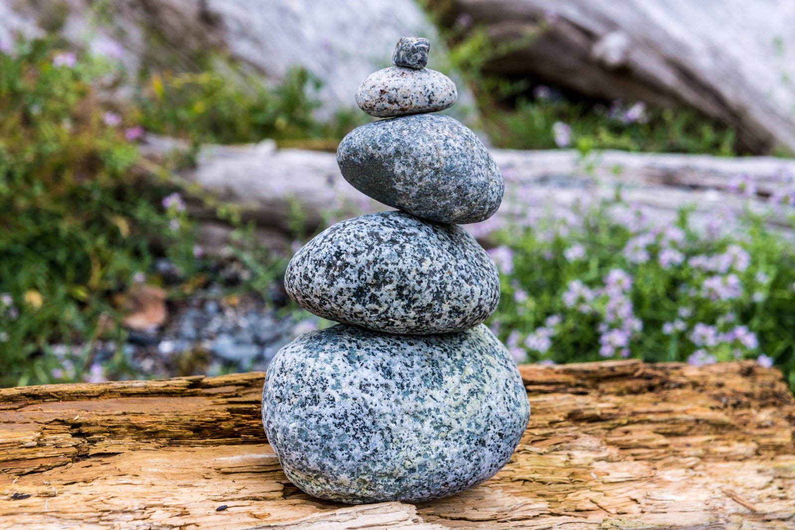 Zinzino-Trovi l’equilibrio del Suo corpo